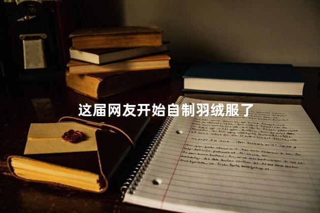 这届网友开始自制羽绒服了