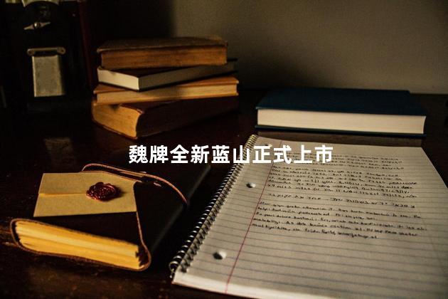 魏牌全新蓝山正式上市