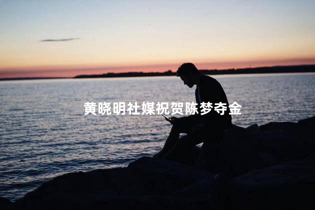 黄晓明社媒祝贺陈梦夺金